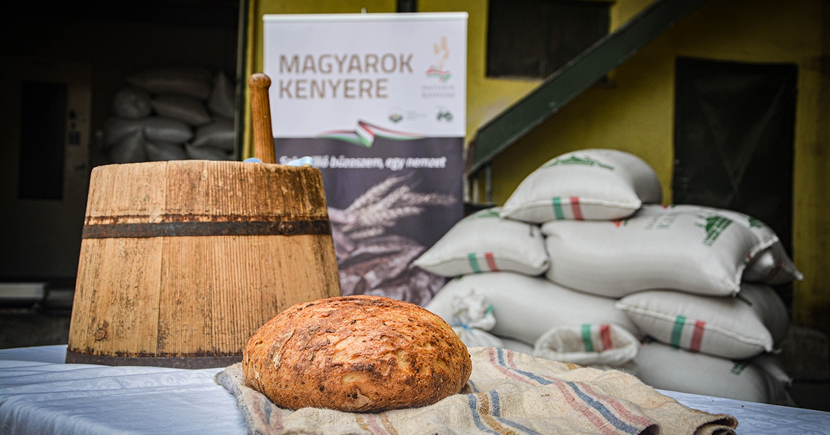 Magyarok Kenyere: ezeken a gyűjtőhelyeken lehet leadni a felajánlásokat Hargita megyében